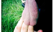 Foto9